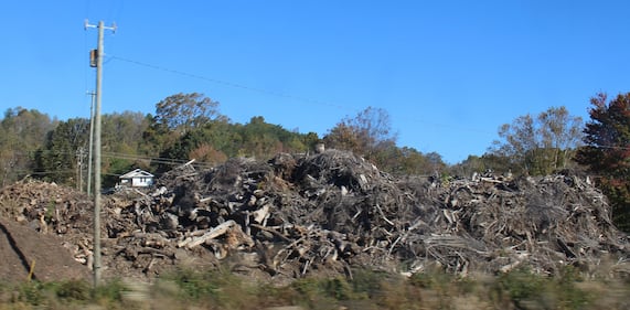 Old trees and things dragged up by flooding in a large pile.